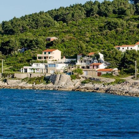 Apartment Barba Rogač Eksteriør billede